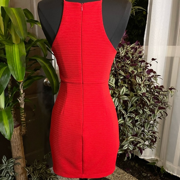 Lush - Picture 3 of 10